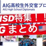 【必見！】AIG高校生外交官プログラムまとめ！