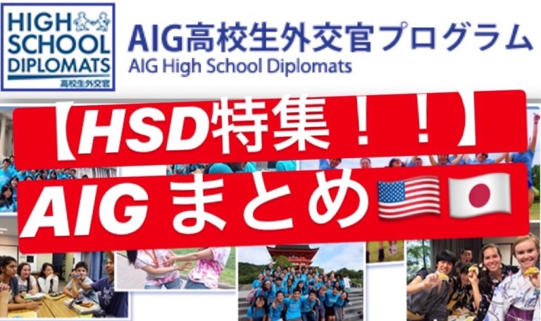 【必見！】AIG高校生外交官プログラムまとめ！