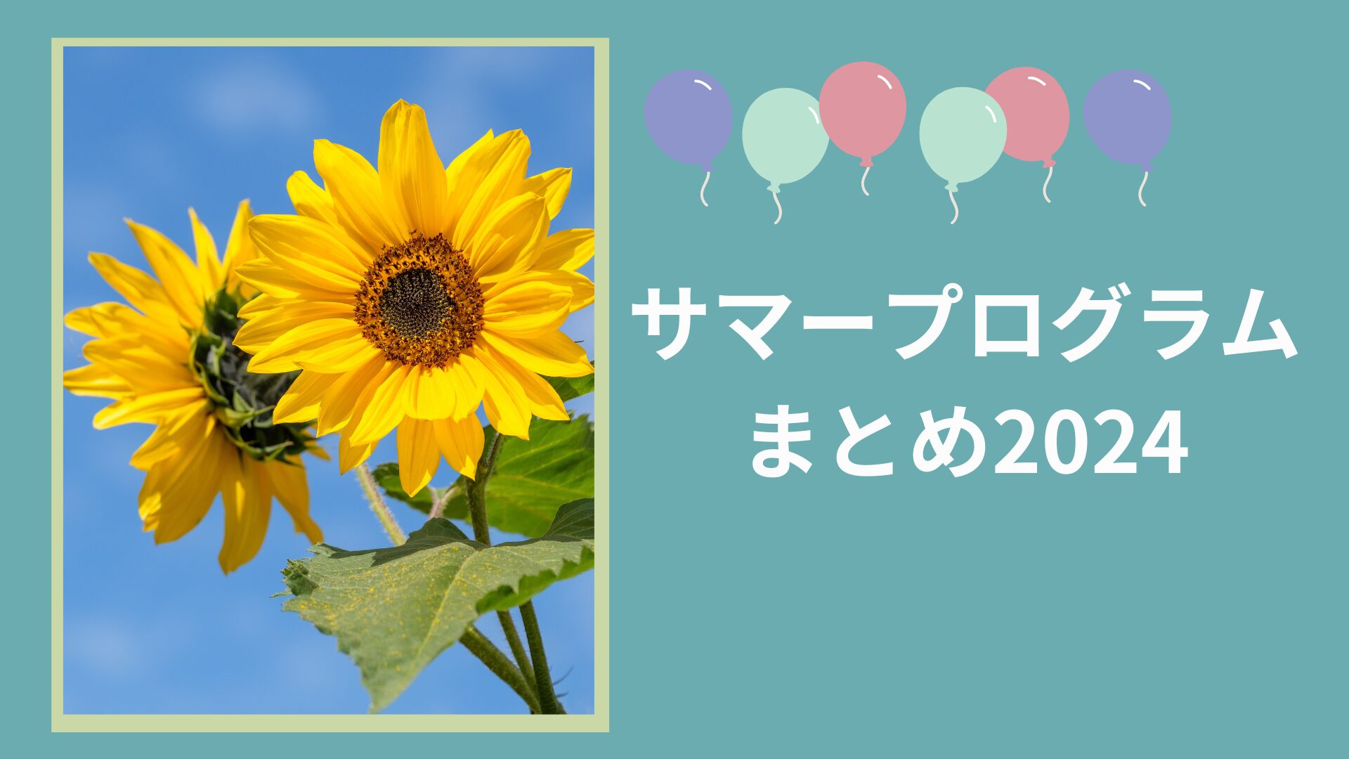 Amazon.co.jp: 品2024年度版みんなのサマー 5教科合本1年