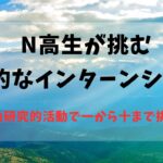 N高生が挑む革新的なインターンシップ！自由研究的活動で一から十まで挑む